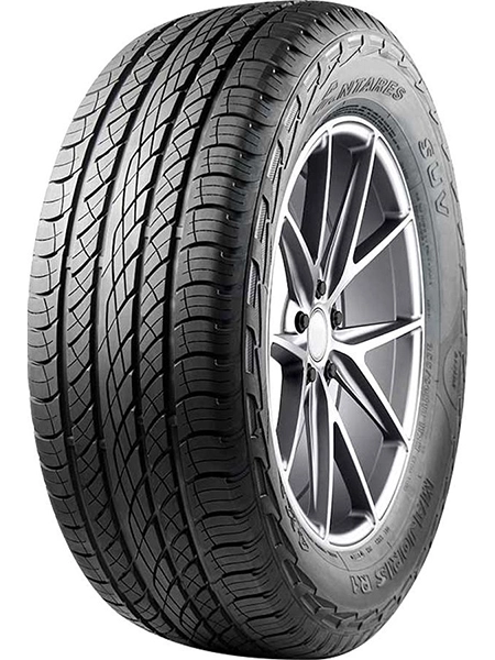 Majoris R1